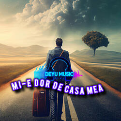 Mi-e dor de casa mea
