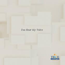 You Hear My Voice