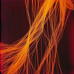 Firul vieții noastre