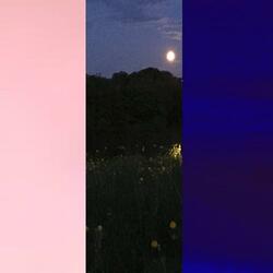 pink clouds // night grass // 7am