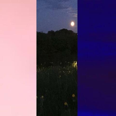 pink clouds // night grass // 7am