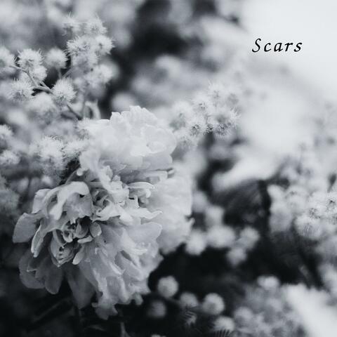 Scars