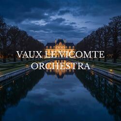 SHADOWS OF THE CHÂTEAU (Radio Edit)