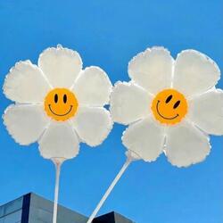 Freestyle High energy