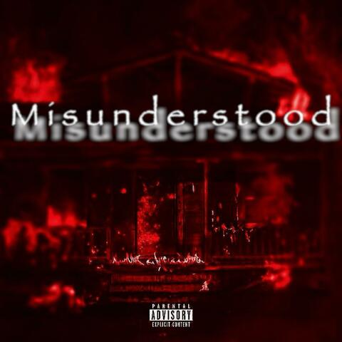 Misunderstood