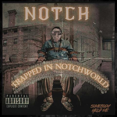 Trapped In Notchworld