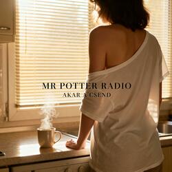 Akar a csend (Acoustic Version)