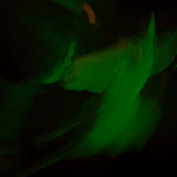 LIKED YOU BETTER (feat. Stephen J. Pilat)