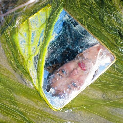 What's Mine Is Yours