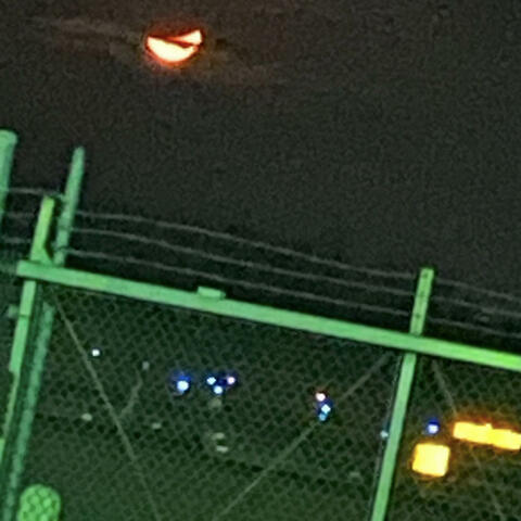 Don't go yet, keep fighting, we need you in battle