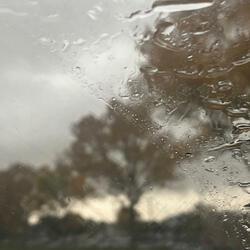 how much is too much (demo)