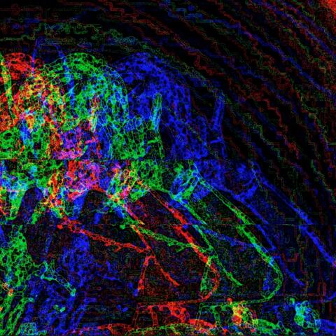 we not like you (gung remix)