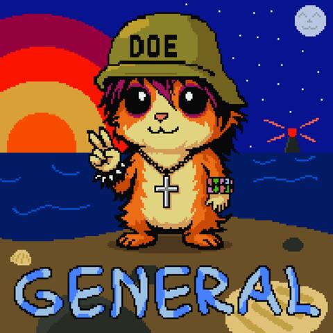 doe general