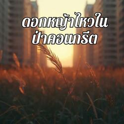 ดอกหญ้าไหวในป่าคอนกรีต