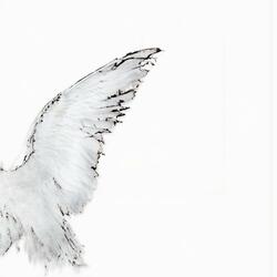 elden ring (feat. IsoBkae)