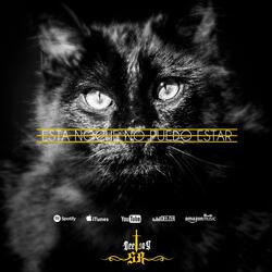 Esta noche no puedo estar