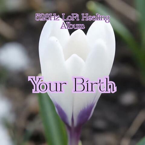Your Birth