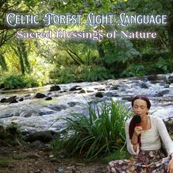 1 Hour Nature Spirit Light Language | Celtic River & Forest Blessings · Calm Anxiety & Relaxation