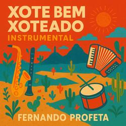 Xote Xoteado Nº 19