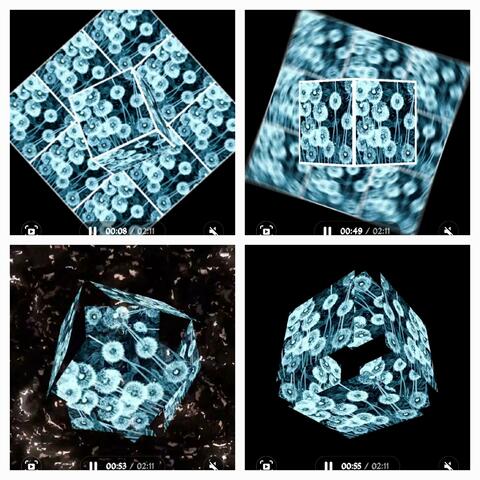 C'est un monde injuste (feat. RSB Choir)