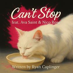 Cant Stop