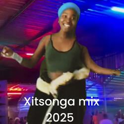 Xitsonga hit 2025 (mega love)