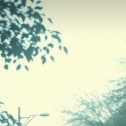 Dancing in the night