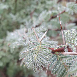 Please come and save me