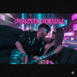 Ponte Perra (Perreo)