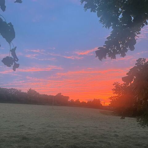 Giving you everything