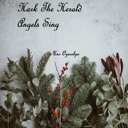 Hark The Herald Angels Sing (Sax Version)