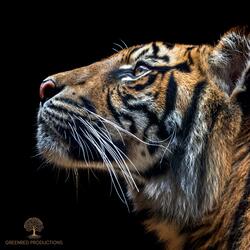 Boost Your Focus, ADHD Relief Music, Study Music