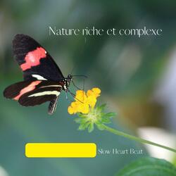 A butterfly being born