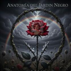 ANATOMÍA DEL JARDÍN NEGRO