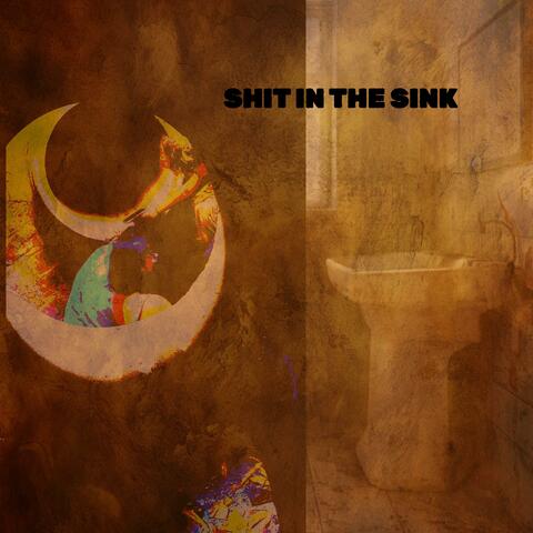 SHIT IN THE SINK
