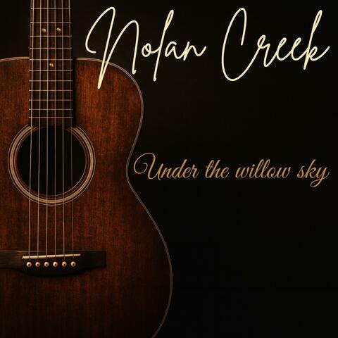 Under the willow sky