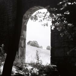 You Can Feel Yourself