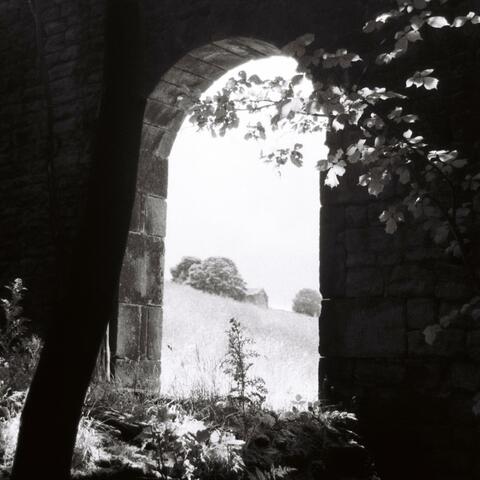 You Can Feel Yourself