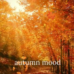 Autumn mood