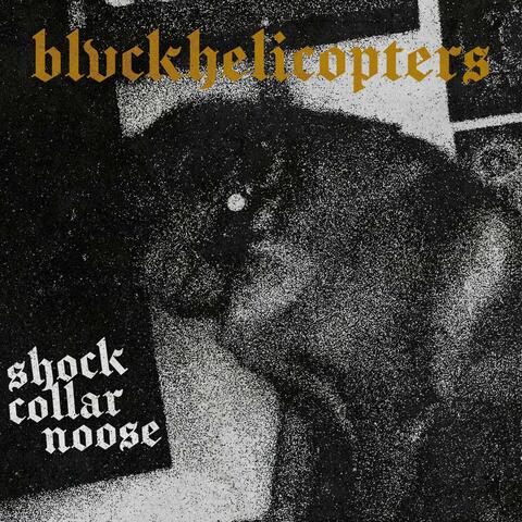 Shock Collar Noose