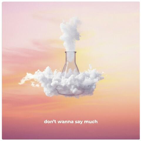 don't wanna say much