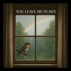 You Leave Me In Awe