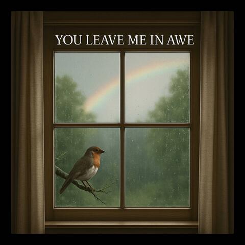 You Leave Me In Awe