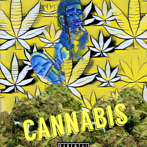 Cannabis