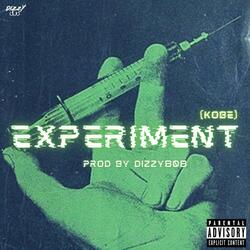 Experiment (Kobe)