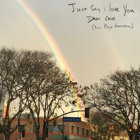 just say i love you (feat. Paige Herschell)