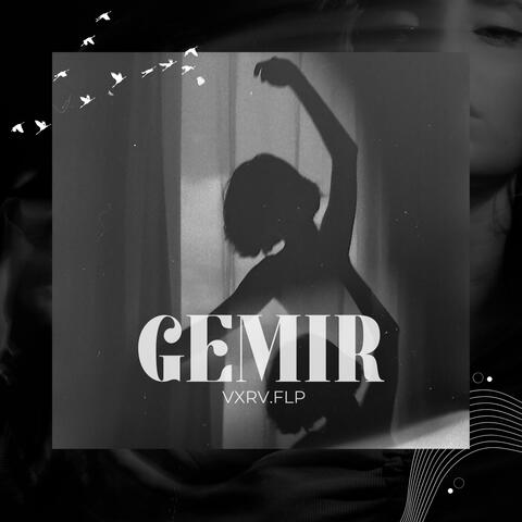 GEMIR