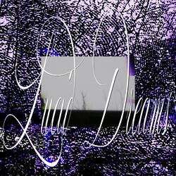 solace in longing (Slowed & Reverbed)