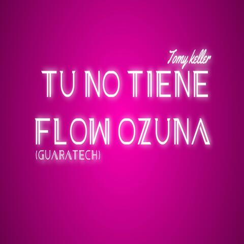 Tu no tienes flow (guaratech)