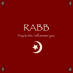Rabb (feat. Asante Farid)